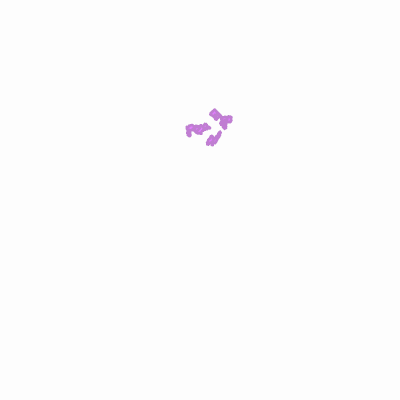 Export Image